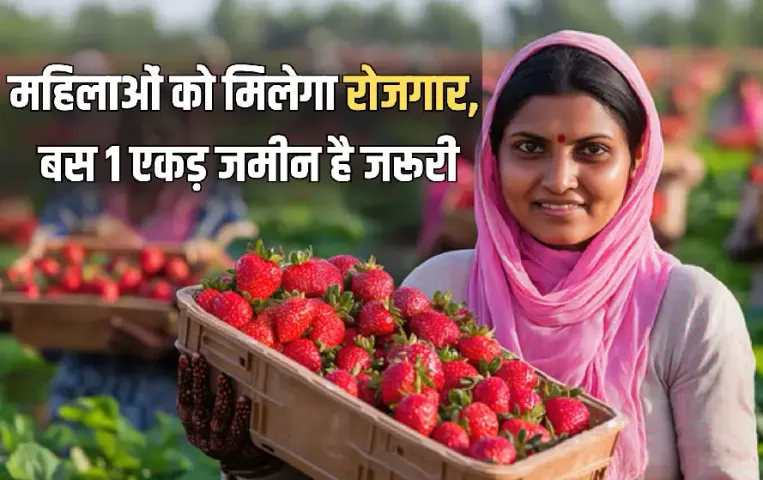 Ek Bagiya Maa Ke Naam