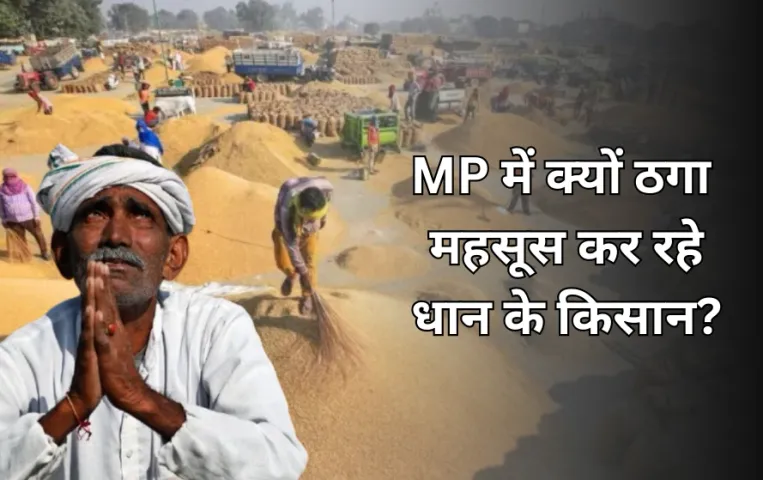 MP धान खरीदी: चुनावी वादे के भरोसे पर धान की बंपर पैदावार, अब मनमाफिक दाम न मिलने से अन्नदाता निराश!
