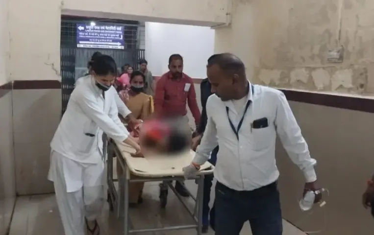 Girls In Harda Forest