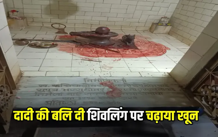 Grandson Murdered Grandmother in Durg