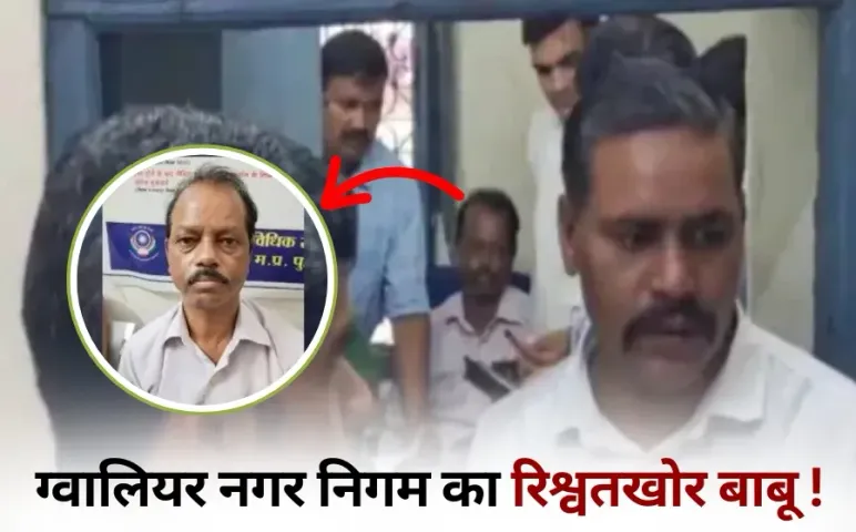 Gwalior Nagar Nigam Babu Rishwat Rajesh Saxena Arrest Anukampa Niyukti hindi news