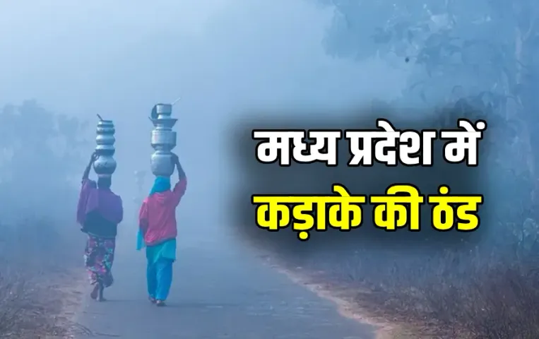 Madhya Pradesh Weather Update Today northern-winds-severe-cold-for-3-days