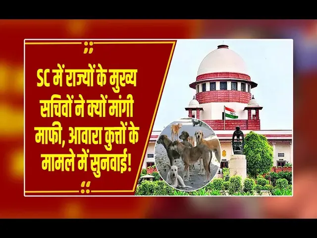 Stray Dogs Case: SC में राज्यों के मुख्य सचिव क्यों मांगने लगे माफी, आवारा कुत्तों के मामले पर बेंच ने क्या कहा?