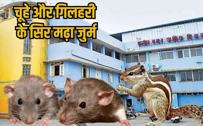 INDORE NEWS: इंदौर नगर निगम की चौंकाने वाली रिपोर्ट, आईटी सेल के सर्वर रूम में आग लगने के लिए चूहे और गिलहरी जिम्मेदार