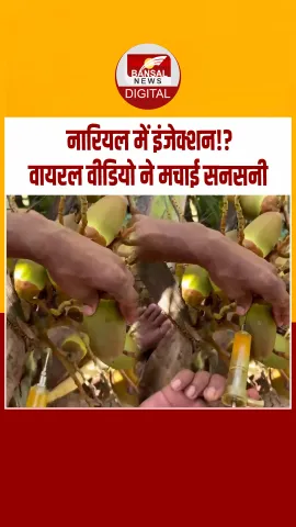 नारियल में इंजेक्शन लगाने का वीडियो सोशल मीडिया पर वायरल, लोगों का फूटा गुस्सा
