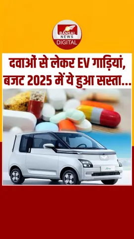 Budget 2025 में क्या- क्या हुआ सस्ता ? देखें पूरी लिस्ट !