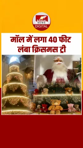 Tamil Nadu में क्रिसमस की तैयारियां शुरू, मॉल में लगा 40 फीट लंबा क्रिसमस ट्री, देखें Video!