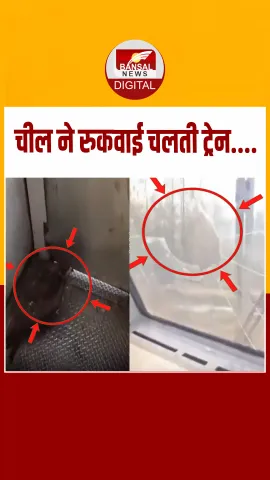 चलती ट्रेन में अचानक शीशा तोड़कर ड्राइवर केबिन में घुसी चील... फिर जो हुआ, देखें पूरा विडियो