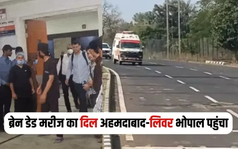 Jabalpur Green Corridor