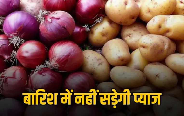 Barish me Pyaj Rakhne ke Tarike: सड़ जाते हैं आलू प्याज, 4 महीने तक ऐसे करें स्टोर, अपनाएं सौ साल पुराना देसी नुस्खा
