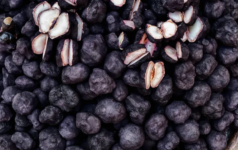 सिंघाड़ा: सर्दियों में मिलने वाला यह फल डायबिटीज के मरीजों के लिए है वरदान, शुगर लेवल रहता है कंट्रोल, जानें इसके फायदे