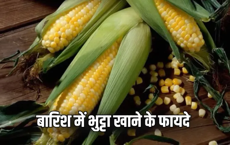 Bhutta Khane Ke Fayde: स्वाद ही नहीं, सेहत का भी खजाना है भुट्टा! बारिश में जरूर करें सेवन