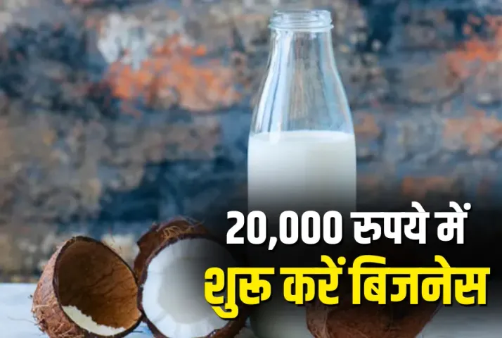 Low Investment High Profit Nariyal Business Idea