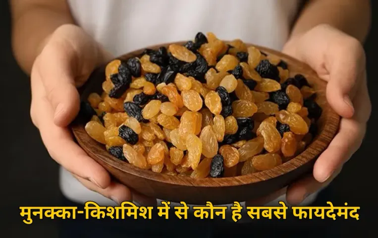 Munakka vs kishmish: मुनक्का और किशमिश में क्या है अंतर? जानें कौन से हैं सबसे फायदेमंद