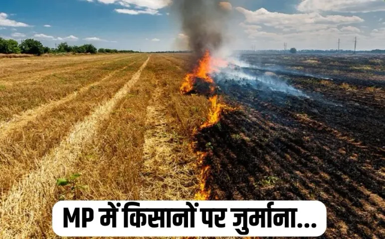 MP Farmers Fined