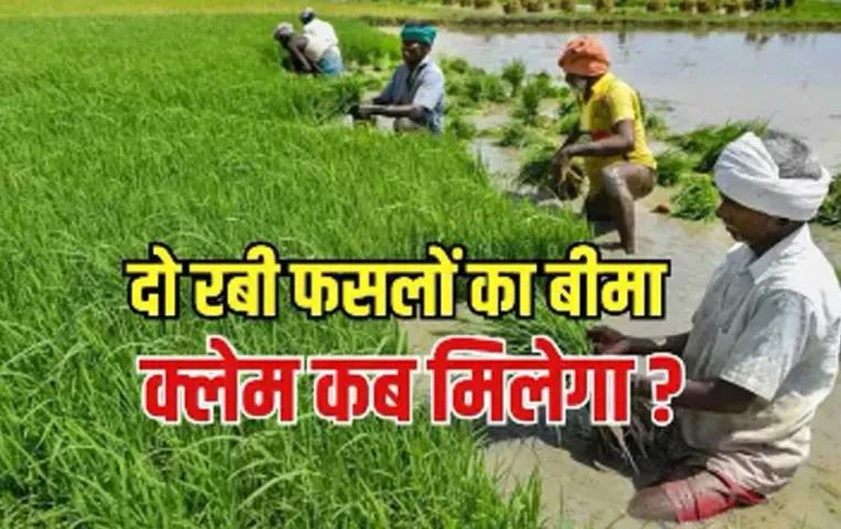 MP Kisan Fasal Bima Yojana: मध्यप्रदेश के किसानों को दो रबी फसलों का बीमा क्लेम कब मिलेगा ?