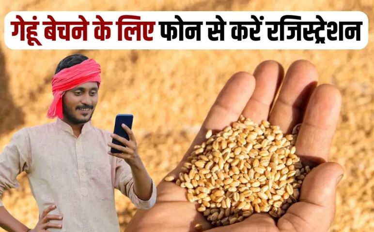 MP Gehu Kharidi 2025 Online Registration mobile