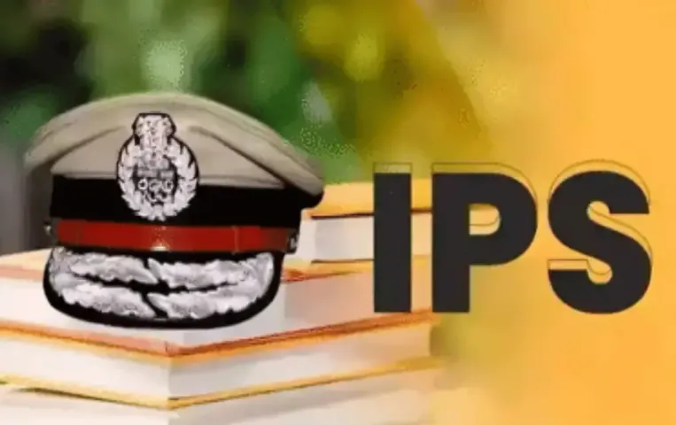 MP IPS Transfer List December 2024