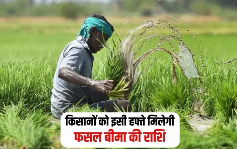 MP Kisan Fasal Bima