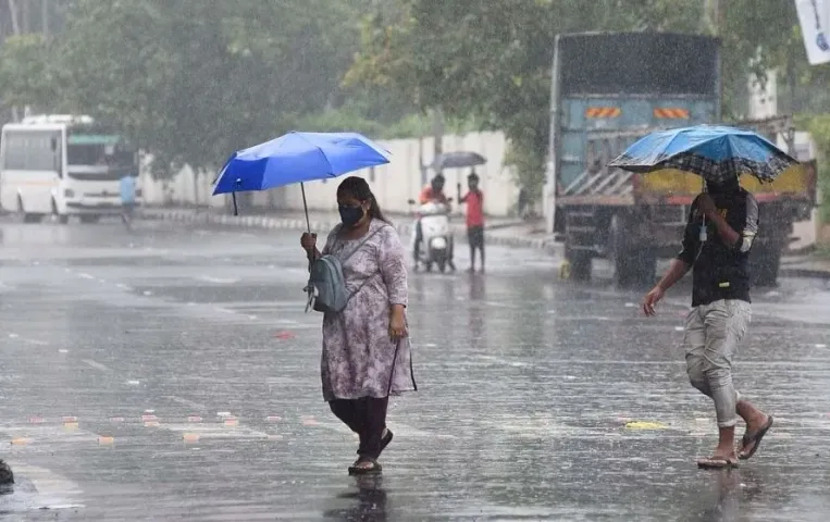 MP Monsoon Update: एमपी के इन जिलों में जमकर होगी बारिश! IMD ने जारी किया अलर्ट, जानें कहां तक पहुंचा मानसून?