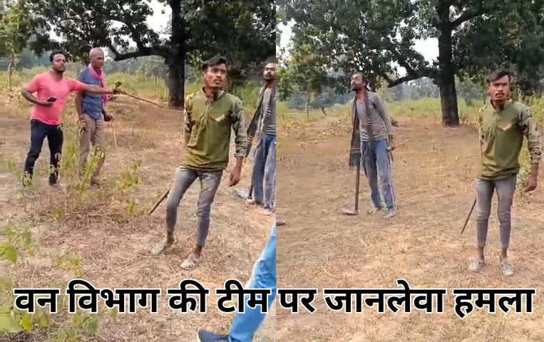 शहडोल में वन अमले पर जानलेवा हमला: वन विभाग की आरक्षित भूमि पर कब्जा रोकने पहुंचे थे वनकर्मी, तीन पर मामला दर्ज