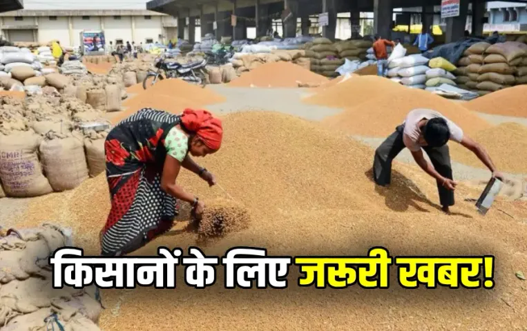 MP Procurement Centers List Paddy Wheat Jowa Millet Gram