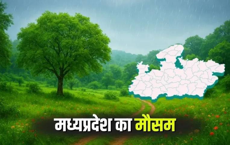 MP Rain Alert 28 August 2025