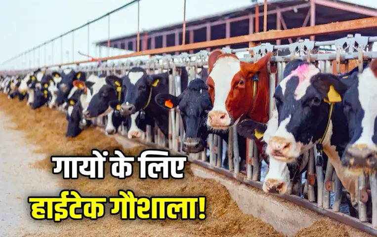 MP Bhopal Gaushala Update Barkhedi CM Mohan Yadav amn