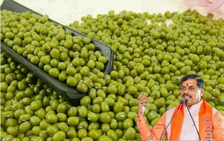 Madhya Pradesh Moong Urad Kharidi Registration Process 2025 Details