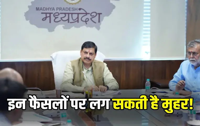 Mohan Cabinet Meeting