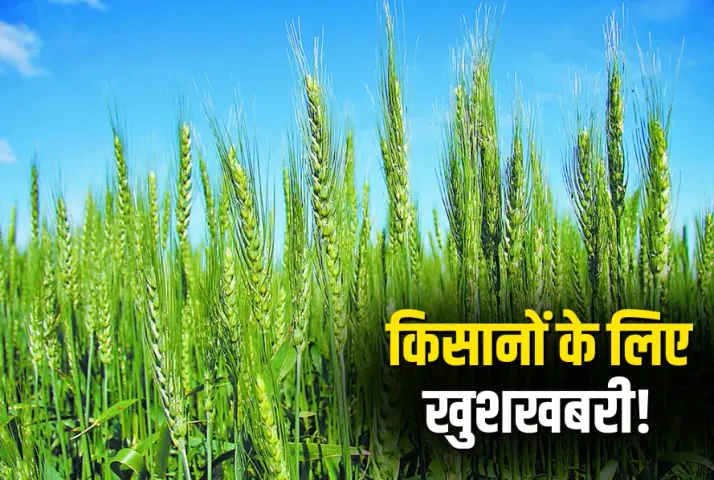 New Crop Varieties Benefit