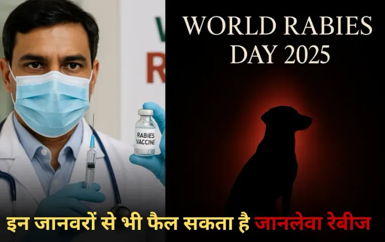 World Rabies Day 2025:क्यों मनाया जाता है वर्ल्ड रेबीज डे? कुत्ते ही नहीं, इन जानवरों से भी फैल सकता है जानलेवा रेबीज
