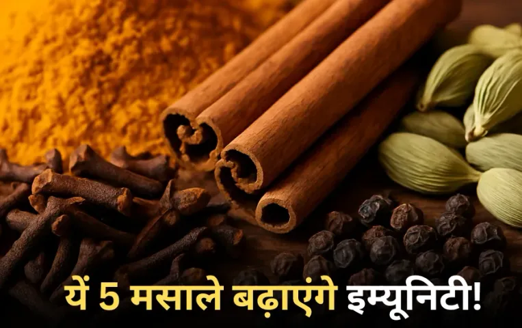 Immunity Boosting Spices: मौसमी बीमारियों से बचाव के लिए खाएं ये 5 मसाले, रोगों से बचाएंगे और इम्यूनिटी बढ़ाएंगे