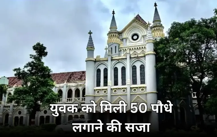 हाईकोर्ट ने युवक को दी 50 पौधे लगाने की सजा: अदालत के खिलाफ अनर्गल टिप्पणी करने पर सुनाया फैसला, पत्नी ने की थी शिकायत