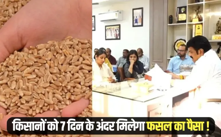 Sagar Gehu Kharidi careless survey agency fir Food Minister Govind Singh Rajput action