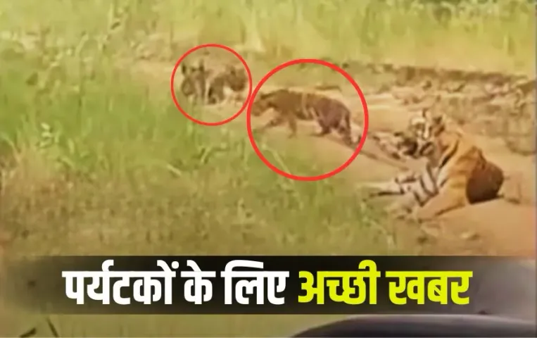 Satpura Tiger Reserve