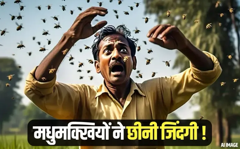 शहडोल में हादसा: सिद्ध बाबा मंदिर में धुएं से भड़कीं मधुमक्खियों का हमला, एक शख्स को इतना काटा कि चली गई जान