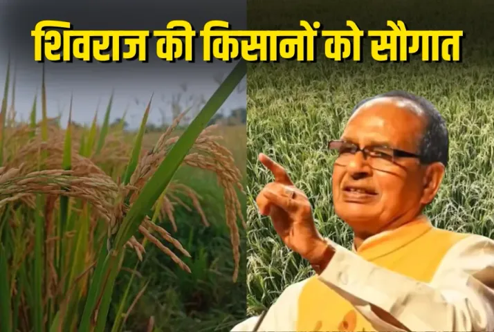 Shivraj Singh Chauhan Genome Edited Rice