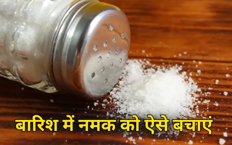 Rainy Season Salt Moisture Tips: बारिश में नमक की सीलन से हैं परेशान? अपनाएं ये आसान देसी जुगाड़