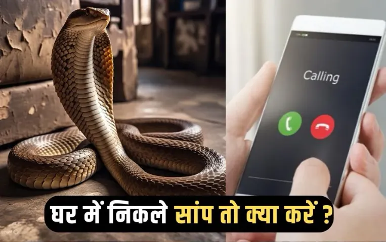 Snake Catcher Bhopal Number Monsoon 2025 (4)