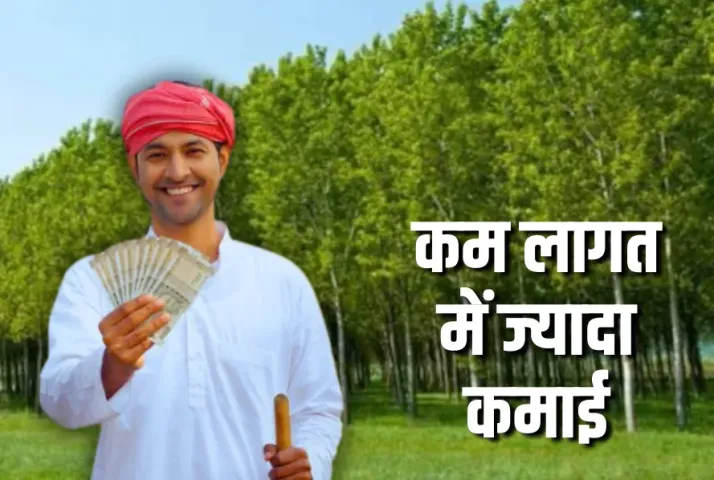 Low Investment High Profit Business Idea: