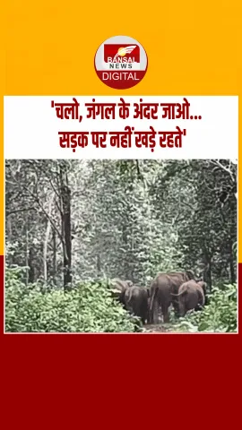 छत्तीसगढ़ के जंगल में अनोखा नज़ारा! ‘हाथी मित्र दल’ की बात मानते दिखे 15 हाथी, वीडियो हुआ वायरल