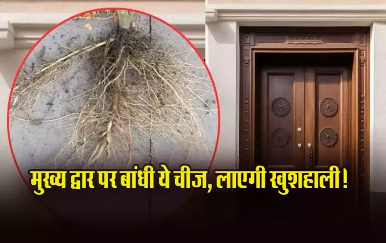 Tulsi-ki-Jad-Vastu-Tips