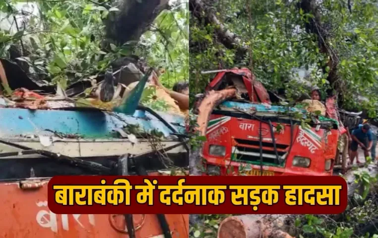UP Barabanki Road Accident 5 dead including driver big tree fell hindi news zxc