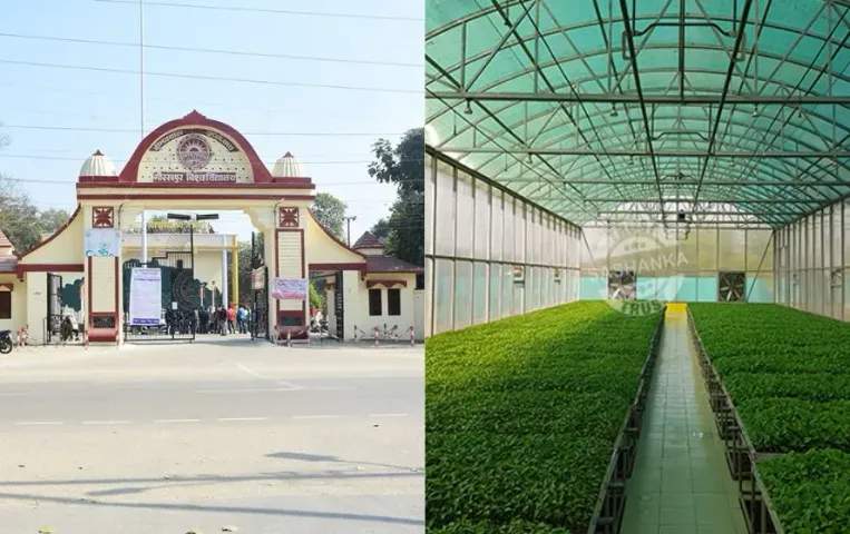 UP DDU Gorakhpur University high-tech nursery