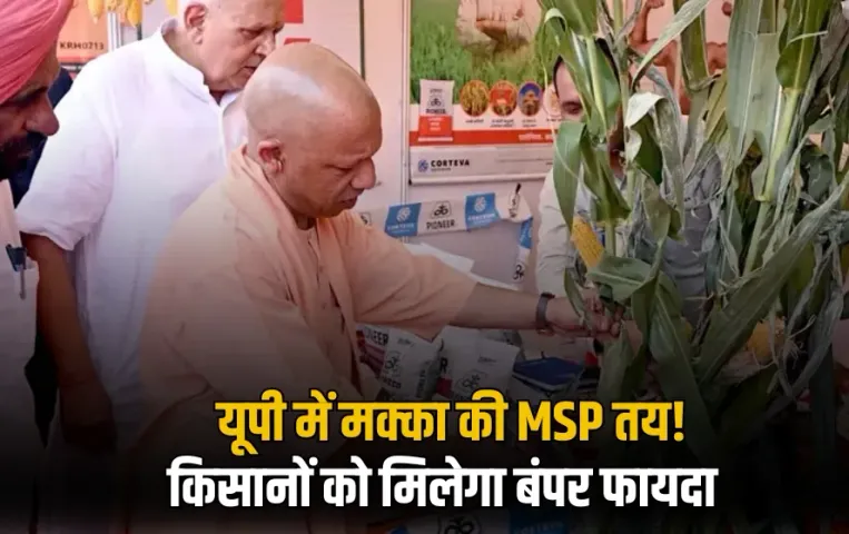 _UP Government buy maize from farmers at MSP Rs 2225 per quintal hindi news zxc