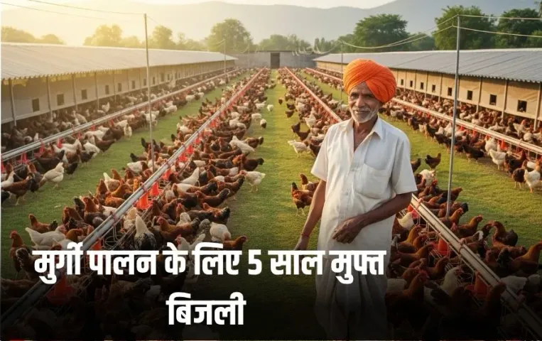 UP Poultry Scheme: यूपी में मुर्गी पालन के लिए 5 साल मुफ्त बिजली, कोई बिल नहीं, कितना मिलेगा लोन,सब यहां जानें