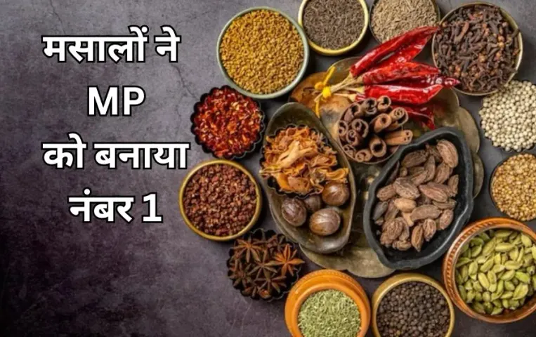 एमपी के किसानों ने उगाई 54 लाख टन मसाले की फसलें: स्पाइस स्टेट बनकर देश में मध्य प्रदेश का पहला स्थान