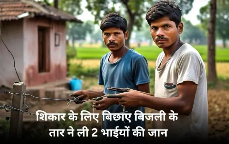 शहडोल में शिकार के लिए बिछाए बिजली के तार की चपेट में आए 2 भाई: करंट लगने से दोनों की मौत, एक महीने में ऐसे 3 मामले