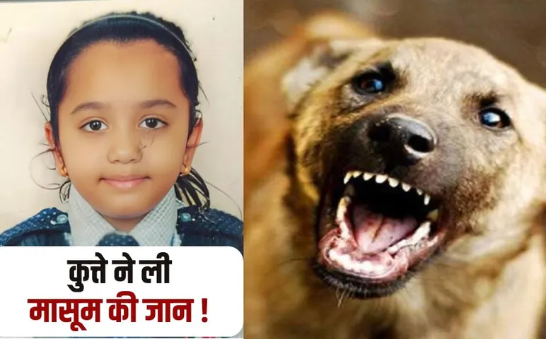 Ujjain Dog Attack